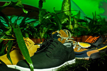 Timberland открыл оазис Timberland открыл оазис