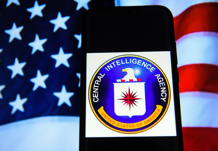 Настойчивая американка несколько раз проникала в штаб-квартиру ЦРУ, чтобы поговорить с неким агентом Пенисом