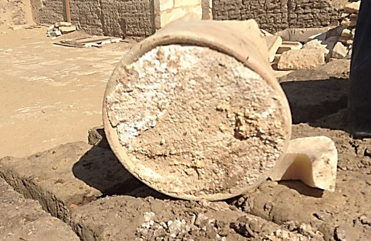Археологи нашли самый старый в мире сыр, но не рекомендуют его есть