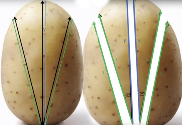 Фото №2 - Как резать картошку, чтобы получилась идеальная хрустящая корочка (математический метод)