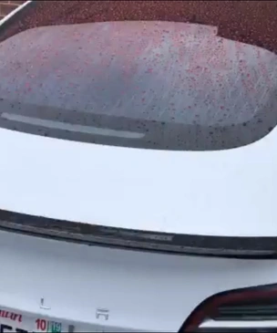 В Сети высмеяли неожиданный и досадный изъян Tesla (видео)