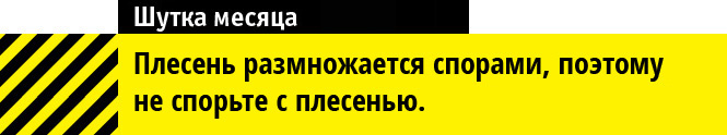 Шутка месяца