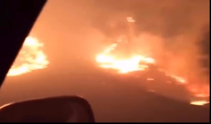 Видео из ада! Взгляни на чудовищный лесной пожар глазами выжившего!