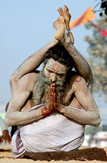 Yogi Yogi