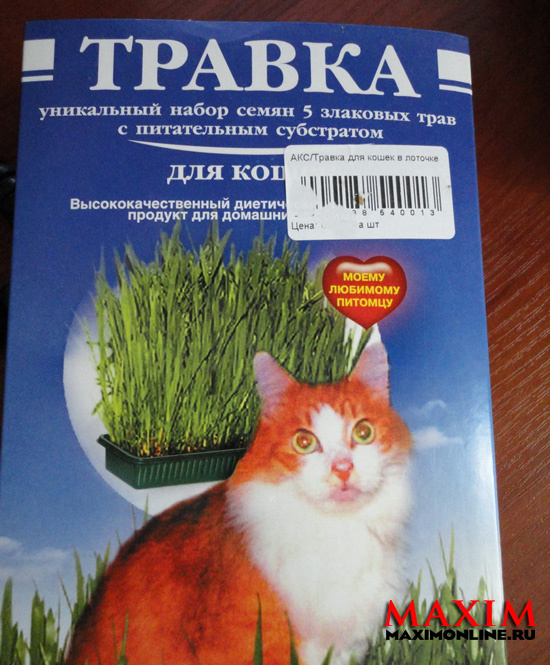 Февральское обострение Февральское обострение