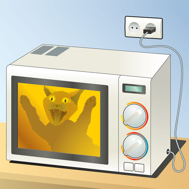 Как это работает: микроволновка | MAXIM