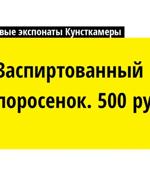 Боюсь тебя, Петра творенье! 10 новых экспонатов Кунсткамеры