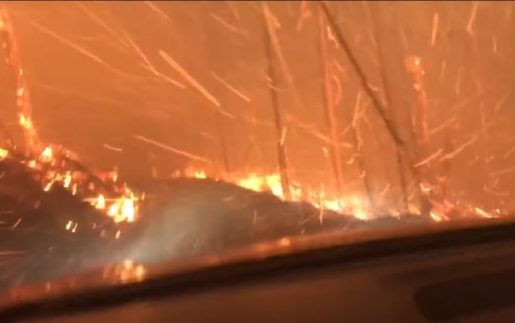 Американские туристы, спасаясь от огня, едут прямо сквозь пылающий лес (Видео)