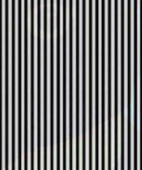 Оптическая иллюзия: потряси головой, чтобы увидеть фото, спрятанное в полосках