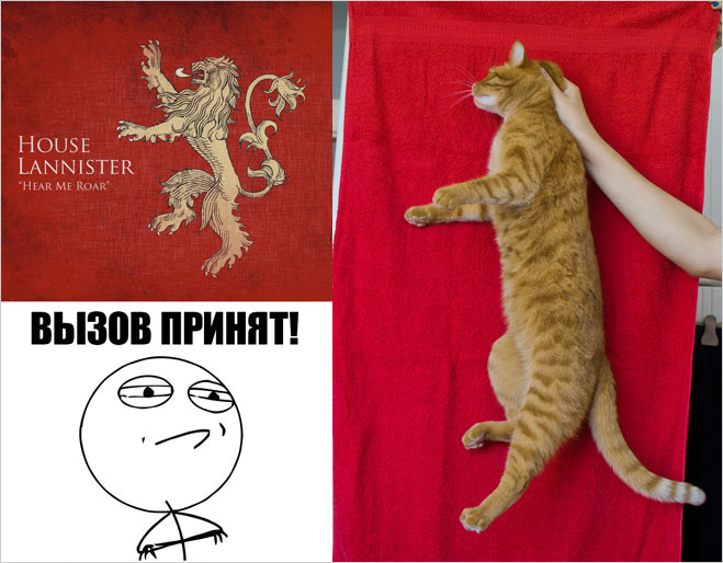 Услышь мой рев