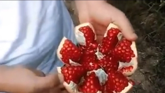 Лайфхак: разделать гранат за 40 секунд (видео)