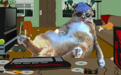 Балдеющий кот — новый король фотожаб! Балдеющий кот — новый король фотожаб!