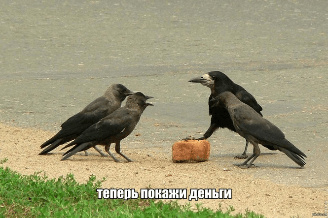 Самые смешные картинки недели Самые смешные картинки недели