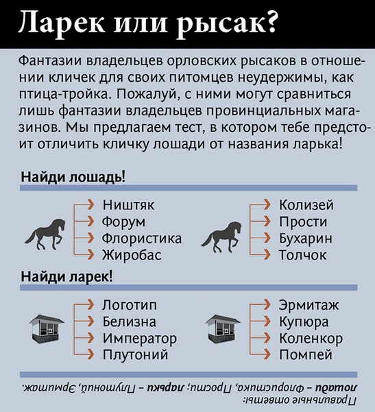 Неожиданно захватывающая история происхождения лошадиных пород