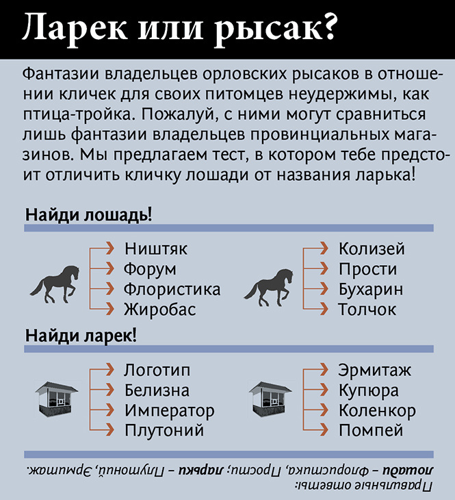 Как Крепыш со Сметанкой коневодство поднимали: неожиданно захватывающая история лошадиных пород Как Крепыш со Сметанкой коневодство поднимали: неожиданно захватывающая история лошадиных пород