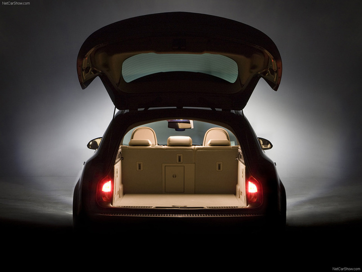 Для чего у некоторых автомобилей есть фонари в багажнике?
