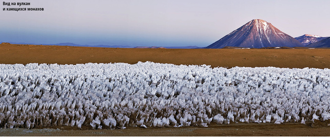 Ледяные шипы пустыни Атакама, Чили