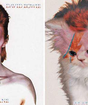 Посмотри, как будут выглядеть обложки легендарных альбомов, если заменить музыкантов на котов!