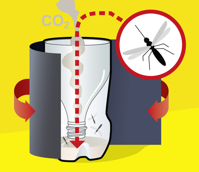 Как сделать ловушку для комаров
