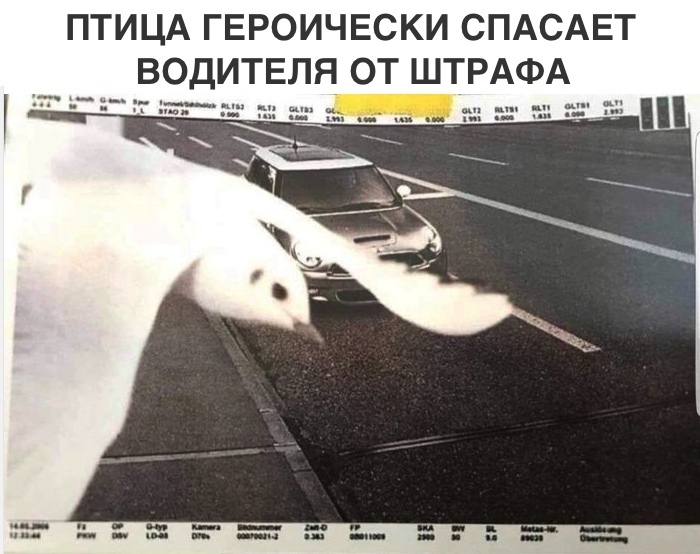 Самые смешные картинки недели и дед Мазай