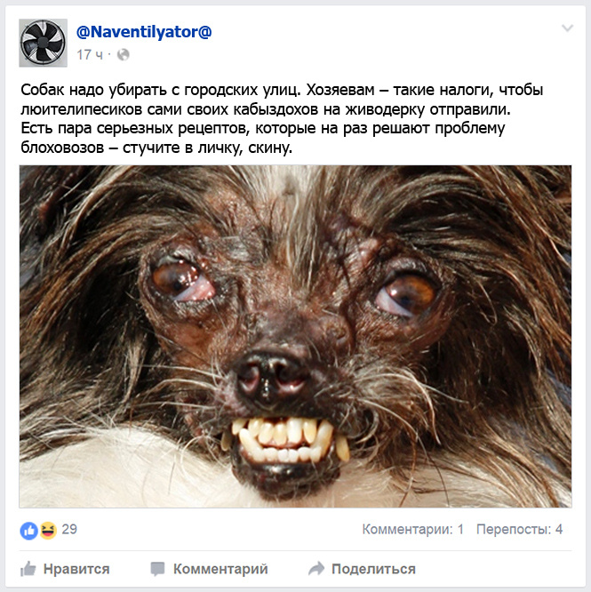 Собак надо убирать с городских улиц Собак надо убирать с городских улиц