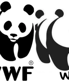 Всемирный фонд дикой природы (WWF*) обвиняют в пытках и убийствах браконьеров