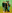 U2