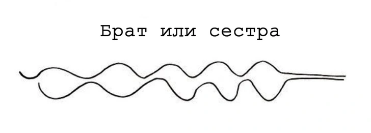 Художница изобразила все возможные отношения в твоей жизни всего двумя линиями