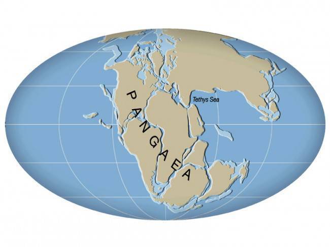 Как будет выглядеть Земля, если материки опять сойдутся в один суперконтинент