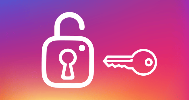 Новинки в Instagram: галереи в Stories и полная выгрузка данных Новинки в Instagram: галереи в Stories и полная выгрузка данных