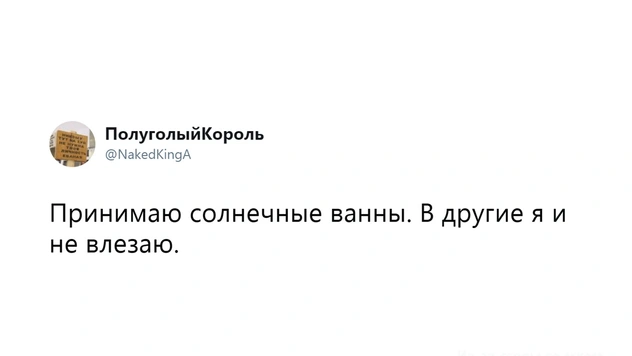 Шутки среды и философский бэкграунд