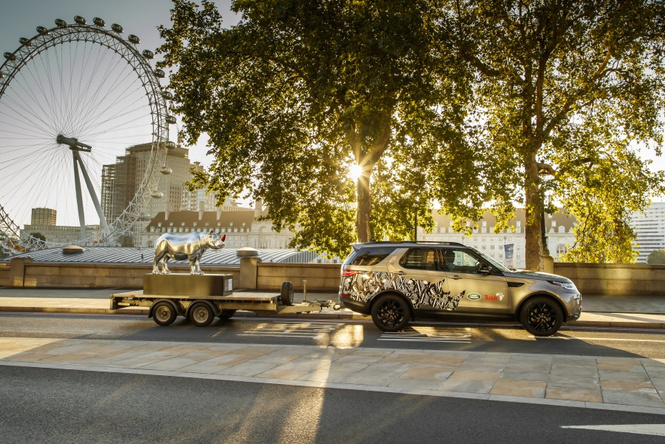 Land Rover поддержал редкий вид носорогов Land Rover поддержал редкий вид носорогов