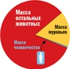 Муравечество. Как мелкие козявки стали влиятельнейшими существами на планете