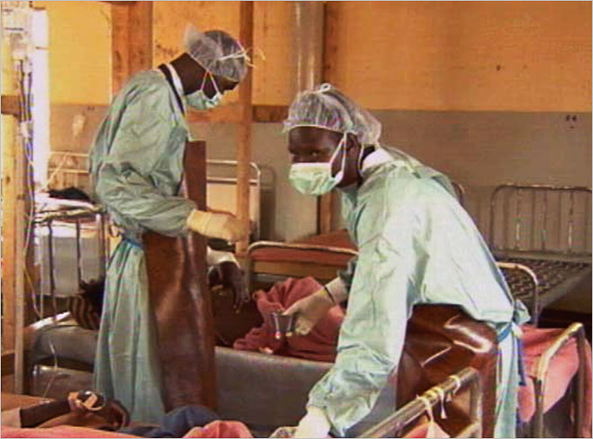 Страшная правда и мифы о лихорадке Эбола
