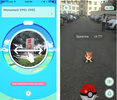 Процесс игры Pokemon Go