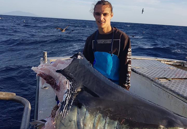 Австралийский рыбак выловил голову огромной акулы, которую, похоже, сожрало нечто еще большего размера