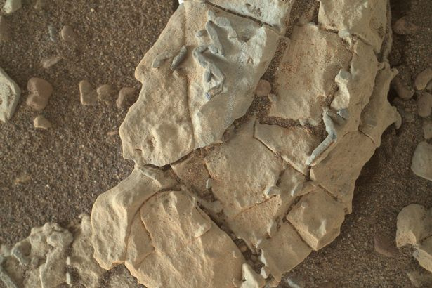 NASA скрывает доказательства того, что на Марсе была жизнь! Громкие разоблачения устами отважного ученого NASA скрывает доказательства того, что на Марсе была жизнь! Громкие разоблачения устами отважного ученого