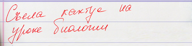 Что делать с ребенком, который дома все отвечает, а из школы приносит одни двойки