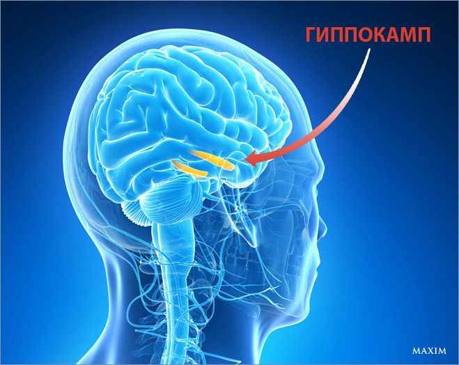 Прокачай чертоги разума! 4 незабываемых способа ничего не забывать