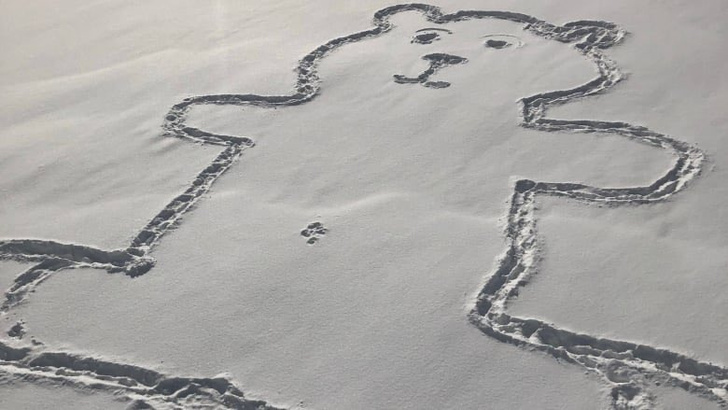 Создательница гигантского снежного медведя рассказала, как смогла нарисовать ему пупок без помощи левитации