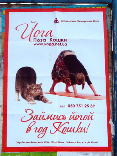 MAXIM Йога. Поза кошки MAXIM Йога. Поза кошки