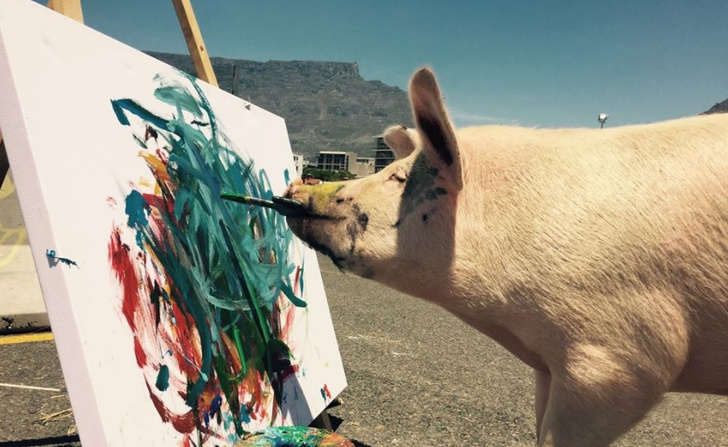 Фото №3 - Познакомься со свиньей-художником, чьи картины продаются по 2 тысячи долларов за штуку!