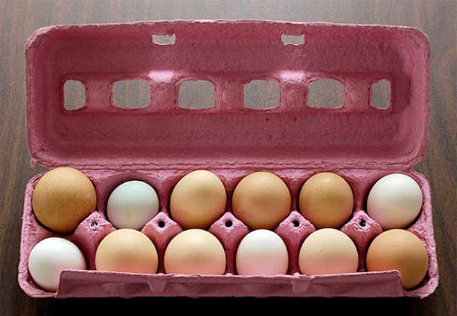 Смажь куриные яйца