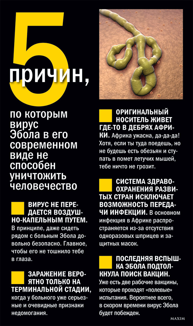 5 причин, по которым вирус Эбола в его современном виде не способен уничтожить человечество 5 причин, по которым вирус Эбола в его современном виде не способен уничтожить человечество