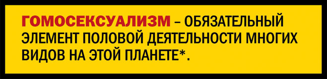 Гомосексуализм – обязательный элемент половой деятельности многих видов на этой планете.