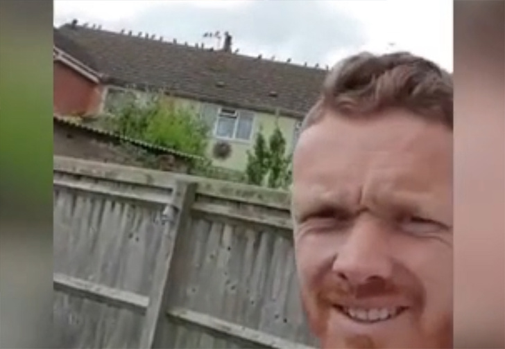 Британец натравил на дом надоедливого соседа стаю ворон (видео)