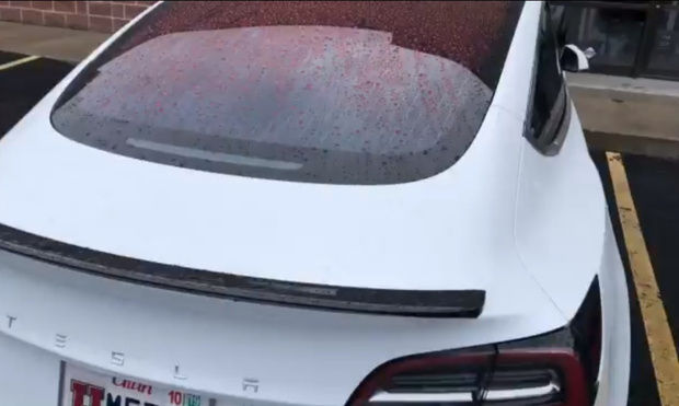 Фото №1 - В Сети высмеяли неожиданный и досадный изъян Tesla (видео)