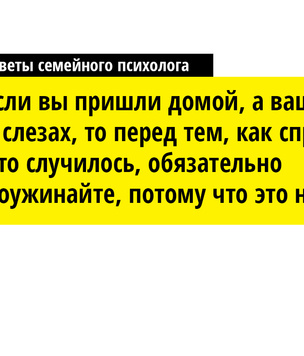 Мой ласковый и нервный зверь: советы по выживанию в семье