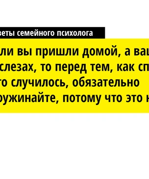 Мой ласковый и нервный зверь: советы по выживанию в семье