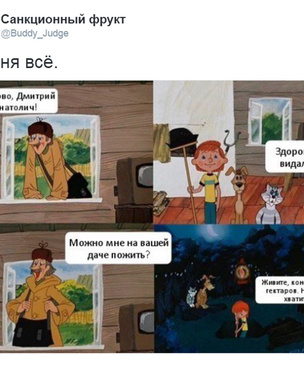 Лучшие шутки о доме для уточки и шикарной даче Медведева